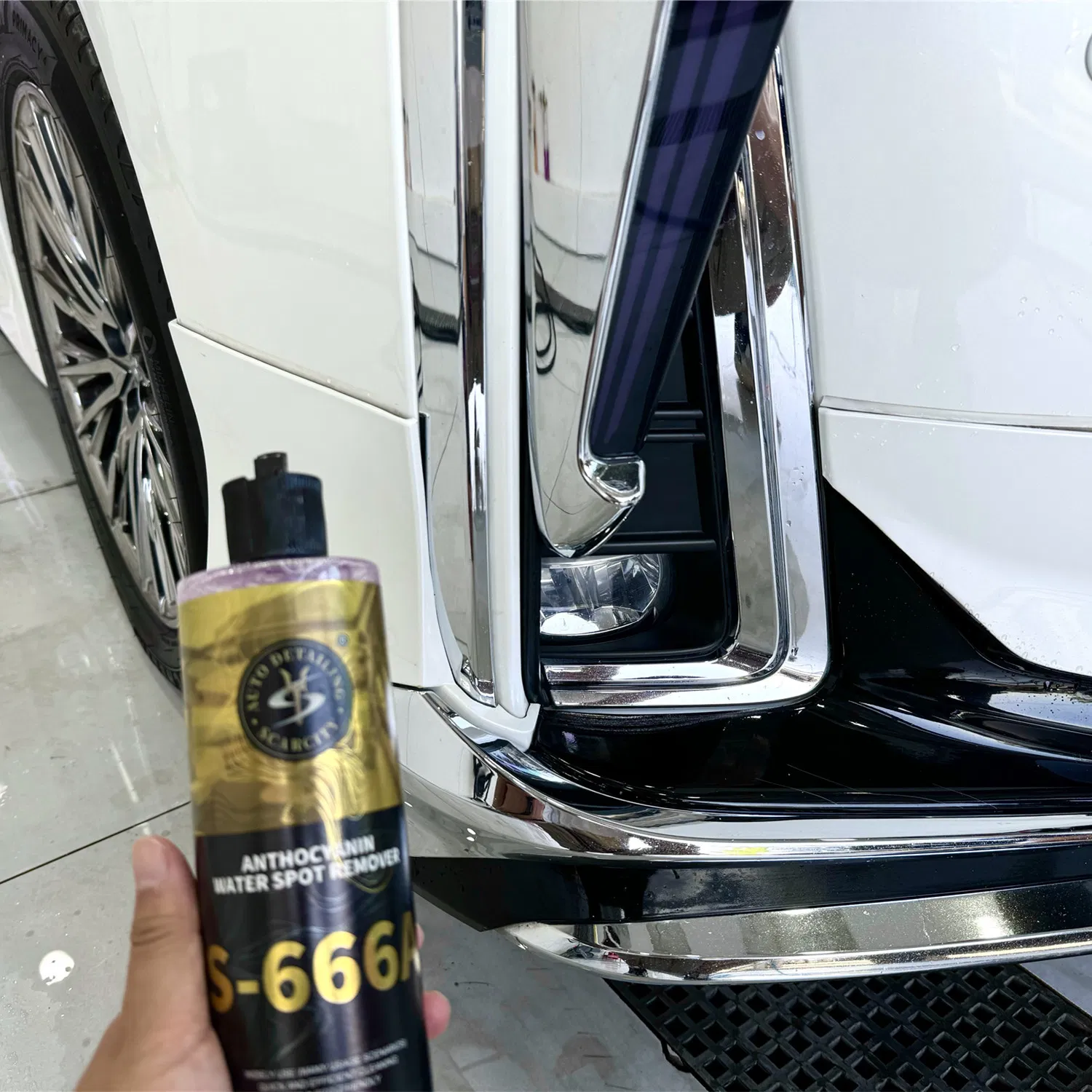 Khám Phá https//s666.sc/ - Bí Quyết Cá Cược Thành Công