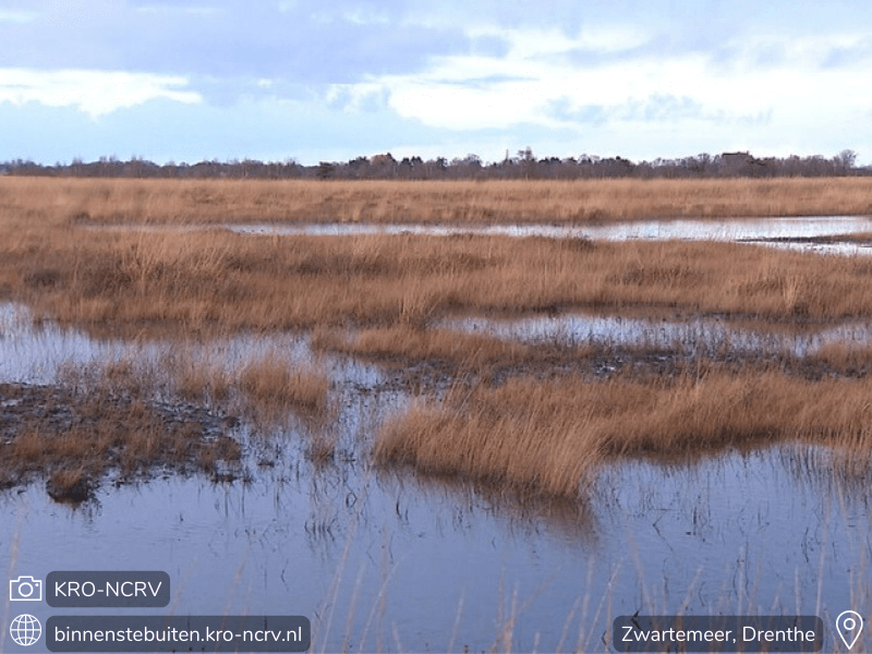 Trải nghiệm thú vị tại Https//v9betnet.com/ - Khám phá thế giới cá cược trực tuyến