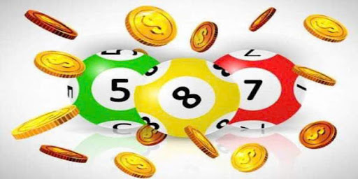 xs bình thuận Khám phá nhân loài cá cược trực nhỏ đường - Cơ hội và thách thức