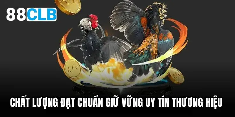Khám Phá Thế Giới Bóng Đá Sôi Động Qua đá bóng trực tiếp hôm nay vtv6 - Nơi Tìm Kiếm Đam Mê