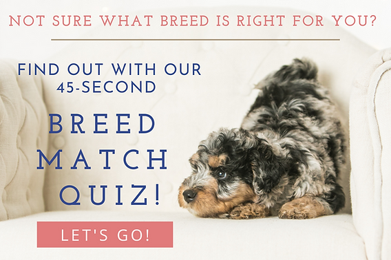 Khám phá ngay Thế giới Giải trí Trực tuyến tại dự đoán đài miền bắc hôm nay - Đánh giá Chi tiết và Kinh nghiệm Cá nhân