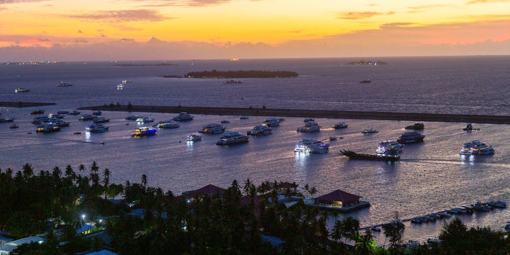 Khám Phá https//88clbs1.cam/ - Sân Chơi Cá Cược Đỉnh Cao