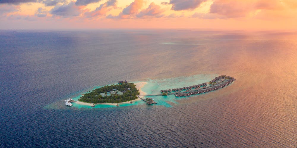 Khám Phá https//rikvip95.it.com/ - Cổng Trò Chơi Đỉnh Cao