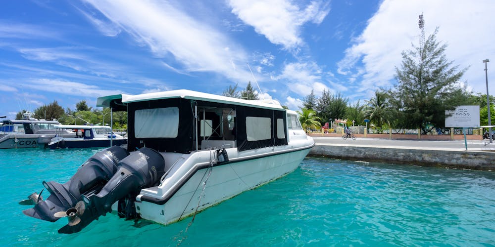 Khám Phá https//rikvip95.it.com/ - Cổng Trò Chơi Đỉnh Cao