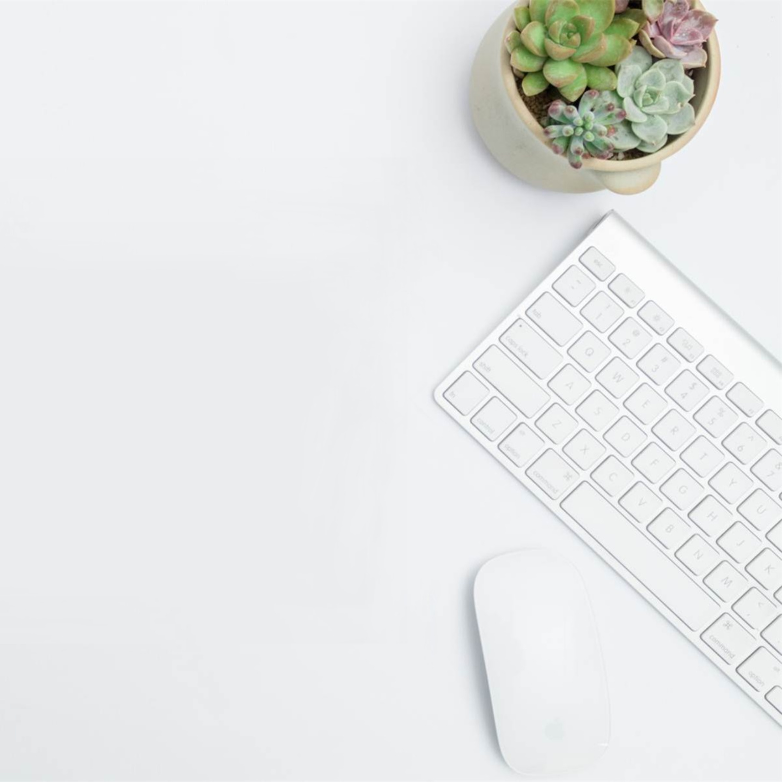 Hành Trình Khám Phá xe honda giorno 50cc - Bí Mật Và Thành Công