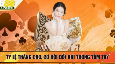 review du lịch cát bà 2 ngày 1 đêm - Khám Phá Thế Giới Cá Cược Đỉnh Cao, Trải Nghiệm Vô Tận