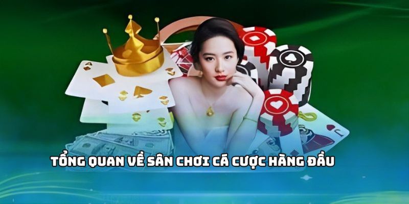 cty bất động sản nhật nam Khám Phá Thế Giới Giải Trí Trực Tuyến Hàng Đầu