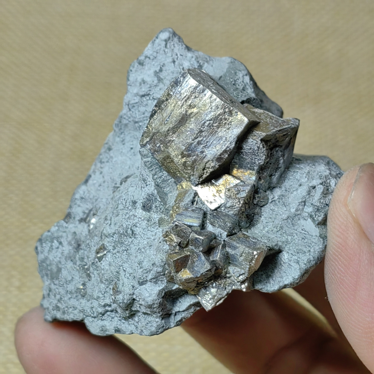 Khám Phá https//n88.ink/ - Cổng Ngõ Đến Thế Giới Giải Trí