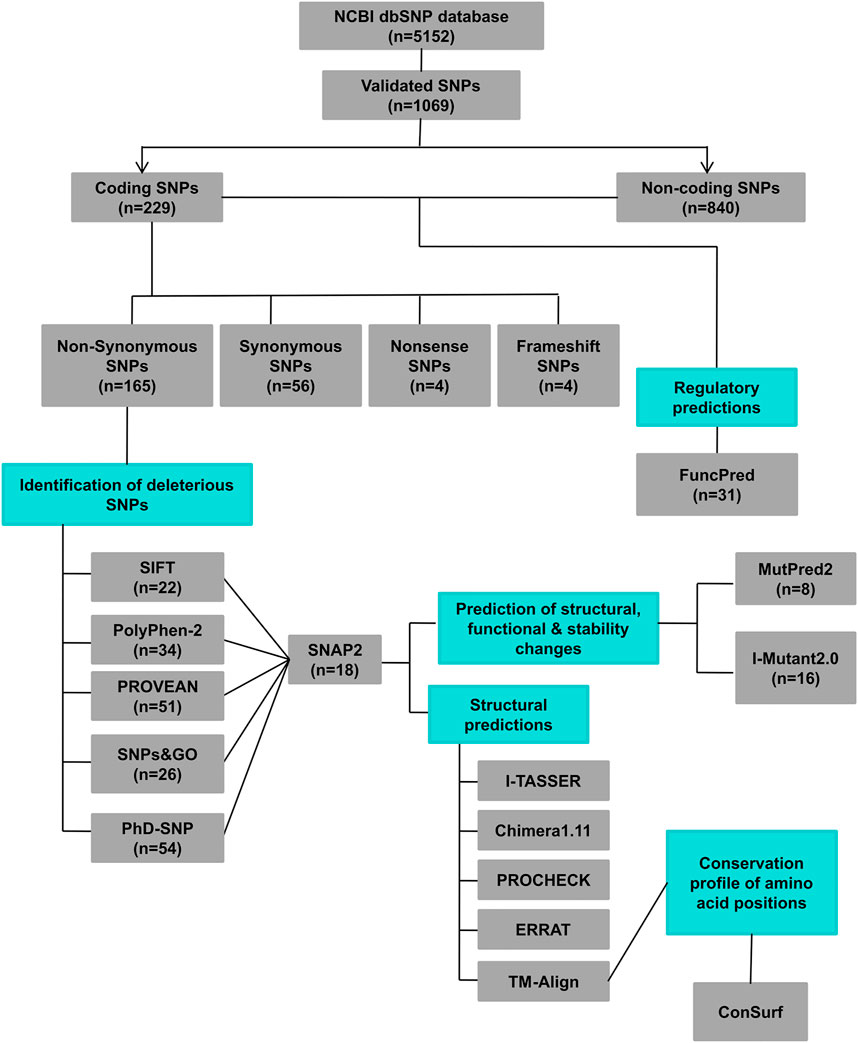 Khám Phá Thế Giới Giải Trí Tại miền bắc xổ số miền bắc - Khám Phá Những Dùng thử Độc Đáo