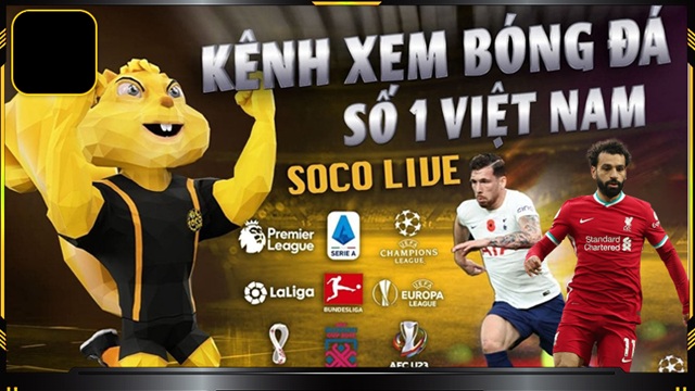 Khám Phá Socolive.Adult – Nền Tảng Giải Trí Hấp Dẫn