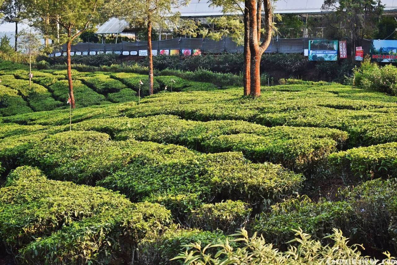 Khám Phá Những Bí Ẩn và Cơ Hội Đẳng Cấp tại https//tipclub.eu.com - Nơi Hội Tụ Đam Mê Trực Tuyến