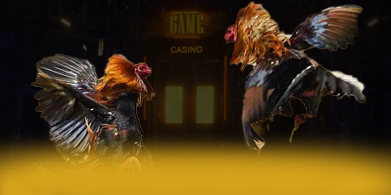 N88 - Nhà cái chuyên nghiệp trong giới game thủ N88 - Nhà cái chuyên nghiệp trong giới game thủ