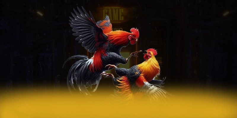 CONGA6789 – Sảnh game được tin dùng, được cộng đồng đánh giá tích cực.