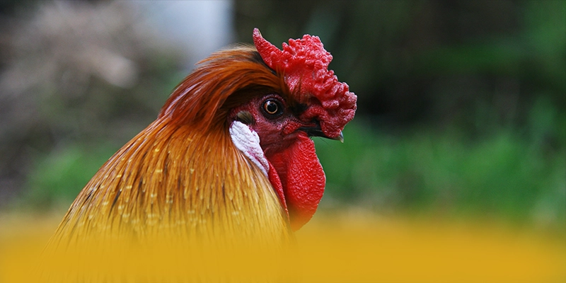 Trải nghiệm SA88 - Sảnh game hàng đầu Việt Nam 2025
Trải nghiệm SA88 - Sảnh game hàng đầu Việt Nam 2025