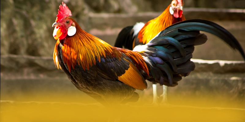 FAFA191 – Thương hiệu được nhiều người chơi lựa chọn, được cộng đồng đánh giá tích cực. FAFA191 – Thương hiệu được nhiều người chơi lựa chọn, được cộng đồng đánh giá tích cực.