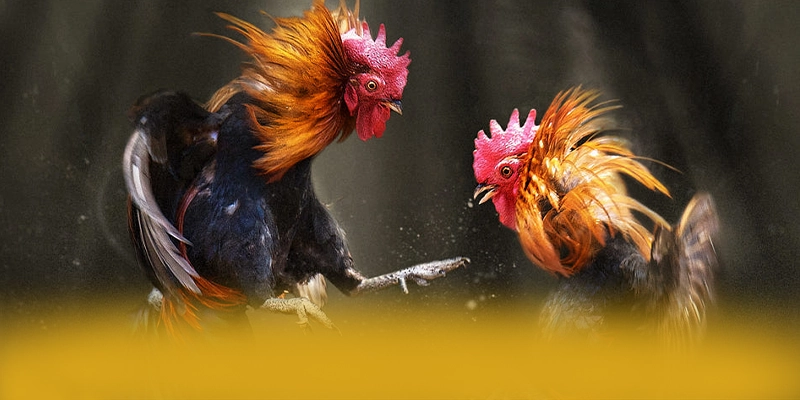 SUNWIN - Tổng quan đánh giá từ cộng đồng game thủ.