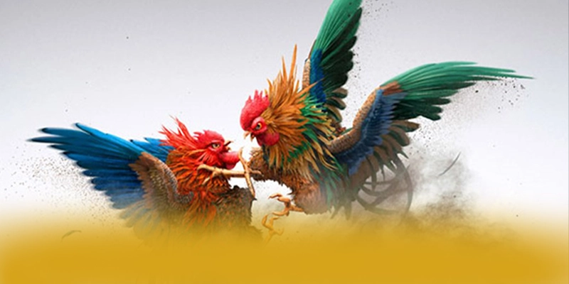 
Khám phá thế giới của CONGA6789 - Sảnh game phổ biến nhất tại Việt Nam
