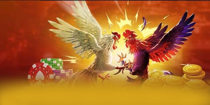 SUNWIN - Trang game có độ an toàn vượt trội tại Việt Nam – Khám phá SUNWIN