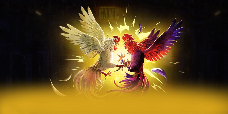 N88 - Tổng kết theo đánh giá từ người dùng. N88 - Tổng kết theo đánh giá từ người dùng.